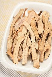 《巨龟世界》试玩版上线 参与即可为NPC命名